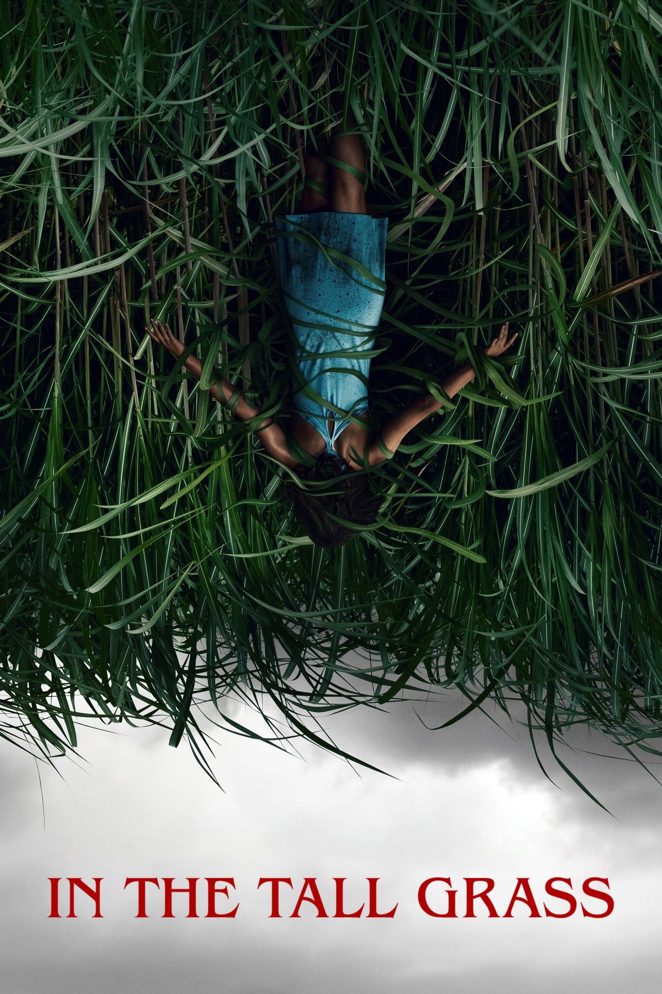 In the Tall Grass (2019) พงหลอนมรณะ